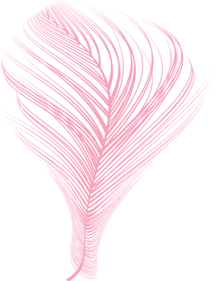 Shiny Pink Feather