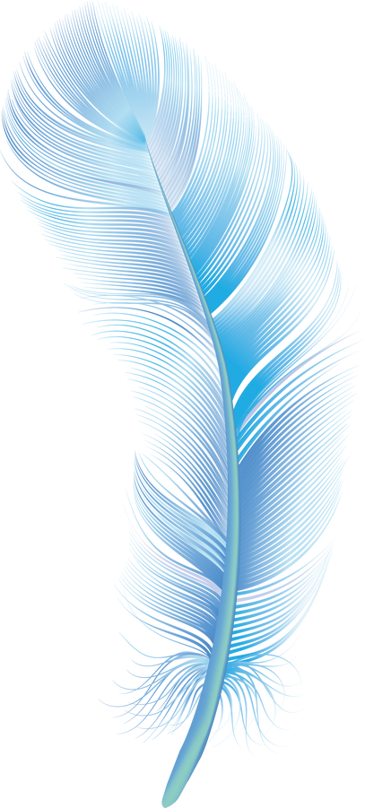 Blue Feather Illustration