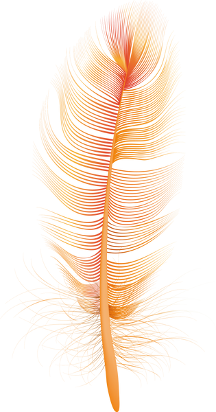 3D Orange Feather